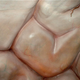 Illustration for article titled Top Stories: Monday July 25, 2011
